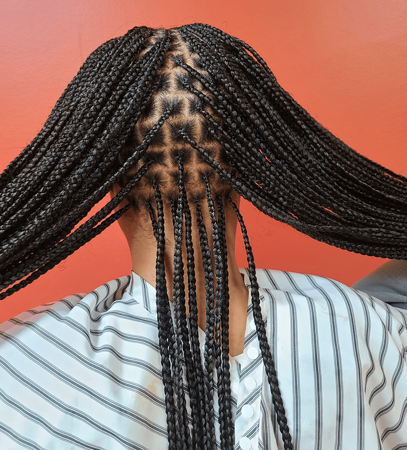 Parted Braided Hair